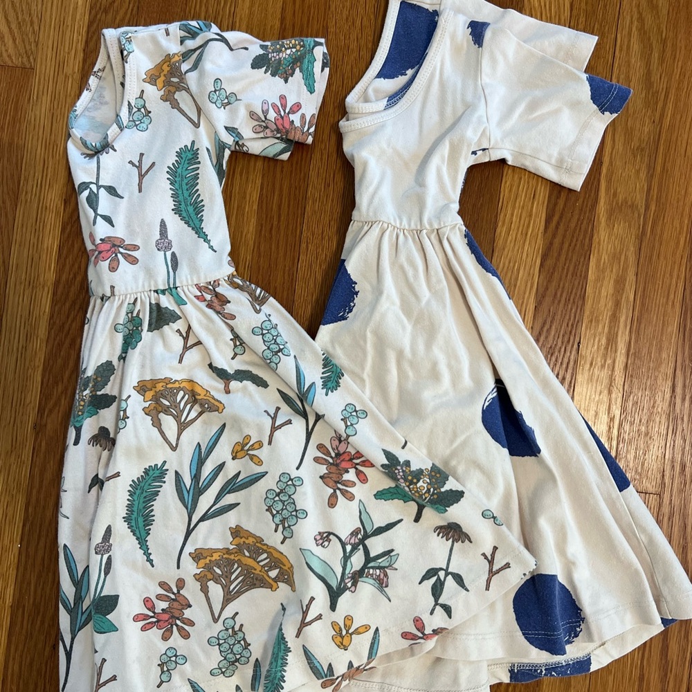 2 Alice + Ames Dresses Bundle 4t